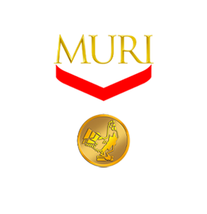 Muri